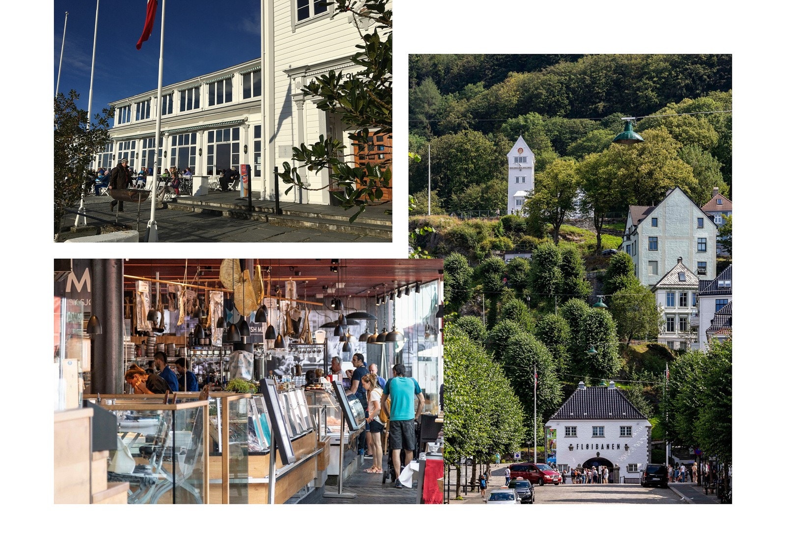 Alt av Bergens kjente serverdigheter innen kort rekkevidde. Galleribilde