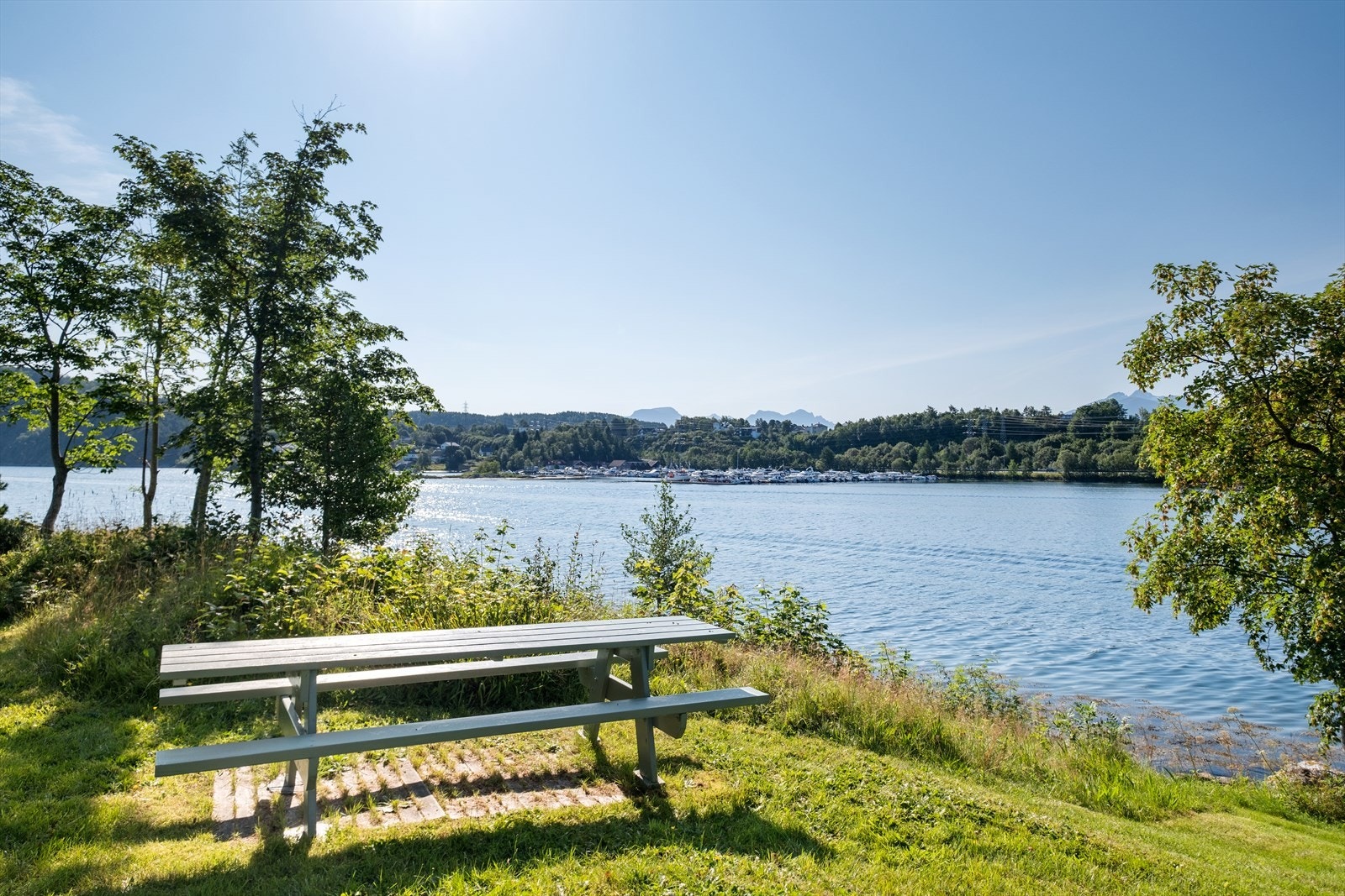 Nærområde. Galleribilde