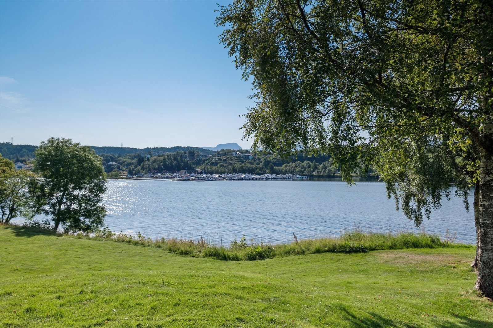 Nærområde. Galleribilde