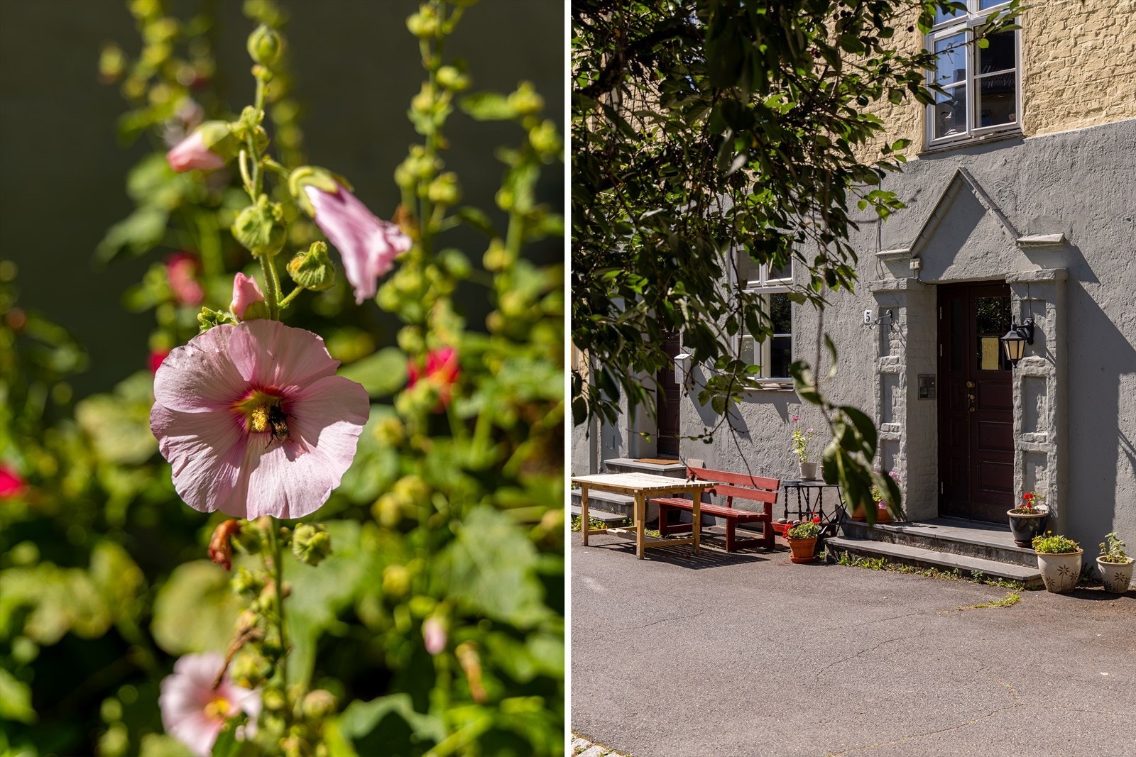 I bakgården bugner det med eple- og kirsebærtrær, som gir et nydelig fargespill på våren Galleribilde