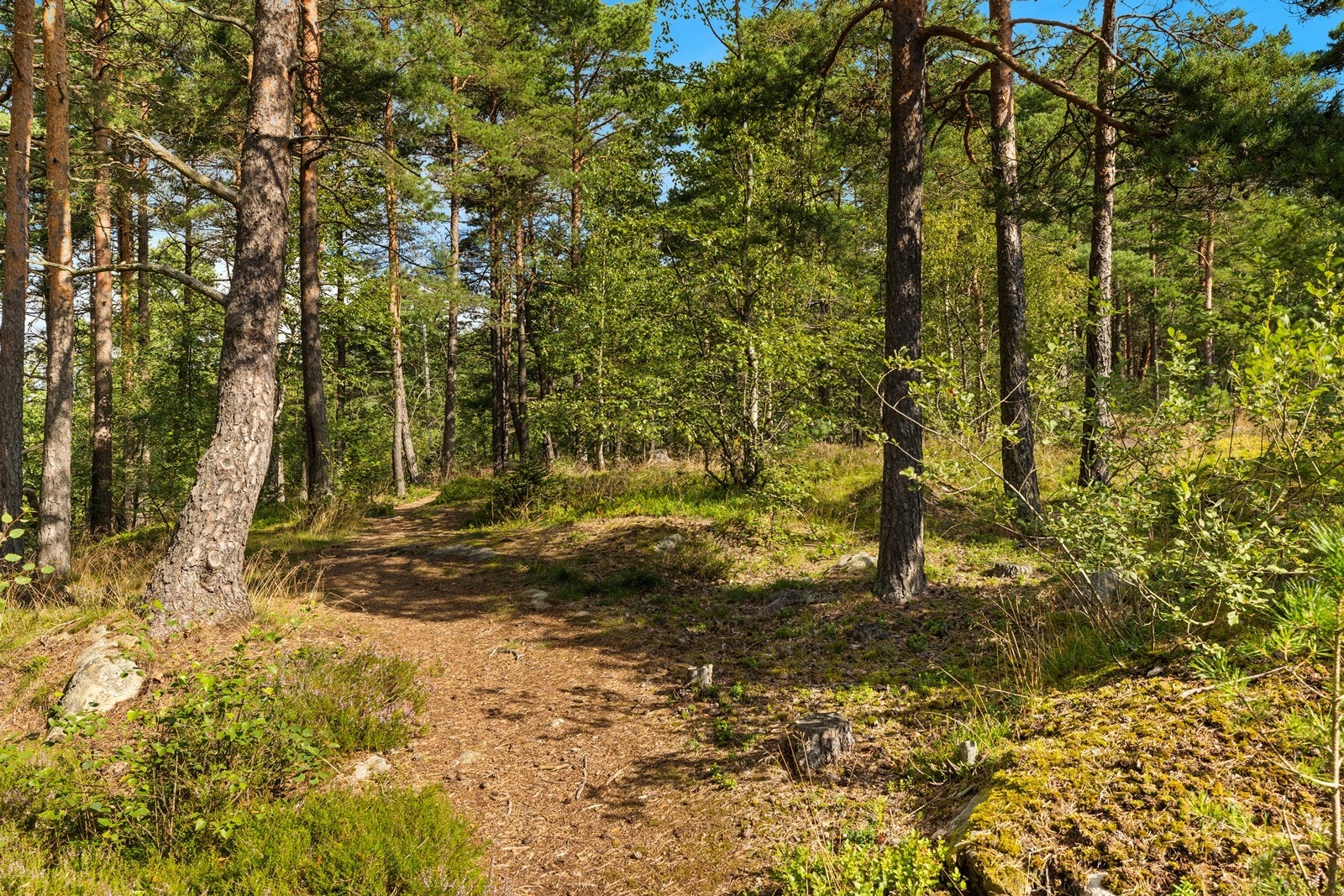 Boligen ligger nær Sarpsborgmarka med lysløype og turområder Galleribilde