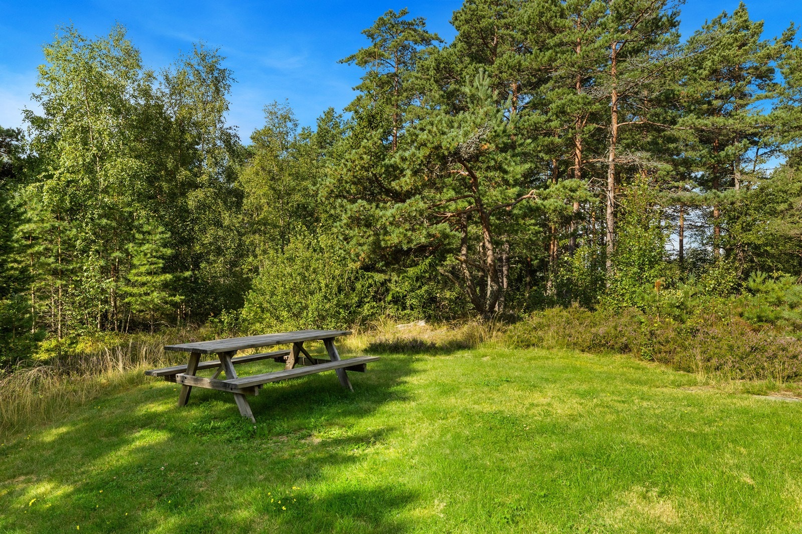 Borettslaget har pent opparbeidete fellesarealer og uteområder Galleribilde