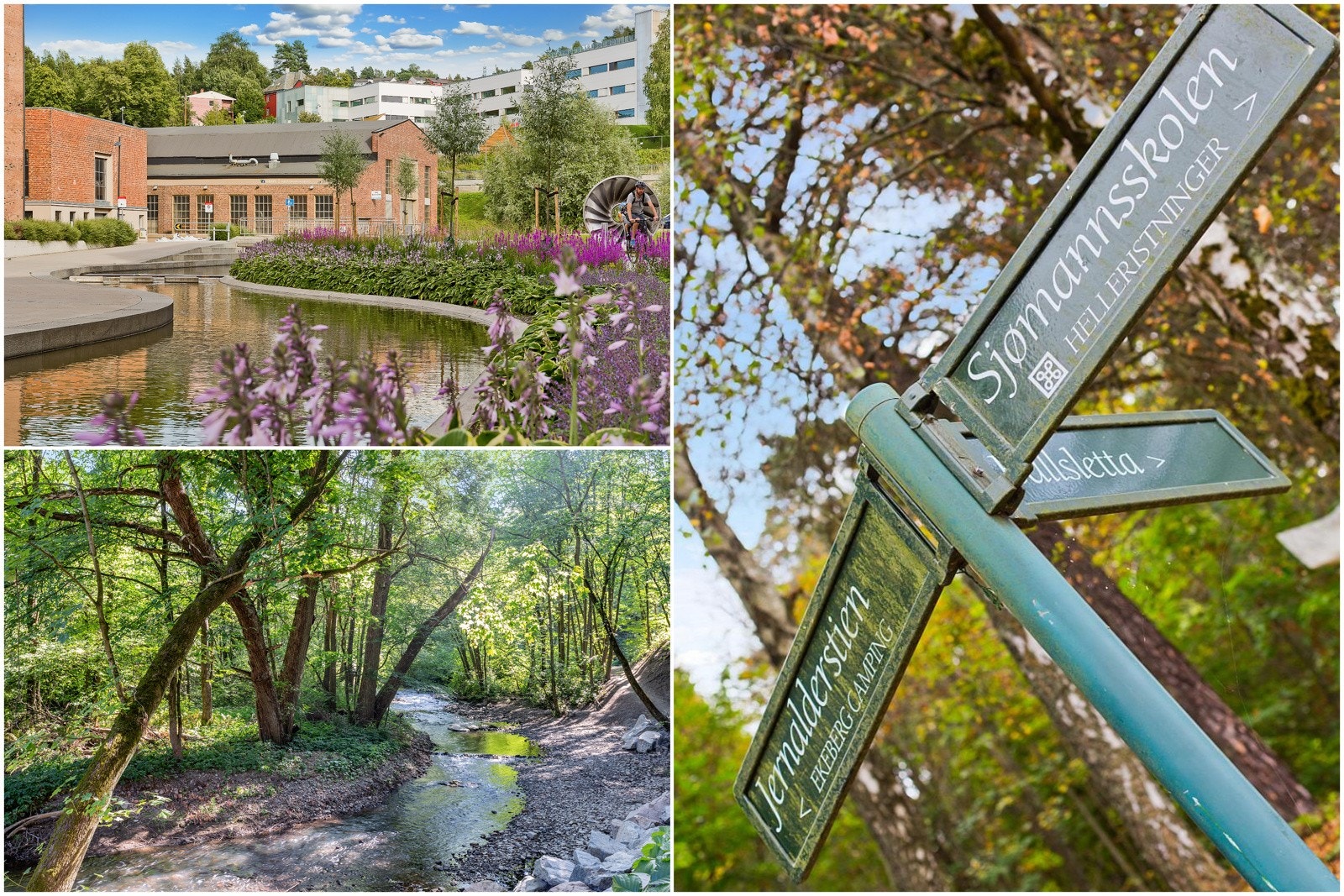 Kort vei til flotte tur- og rekreasjonsområder i Svartdalsskogen og langs Alnaelva Galleribilde