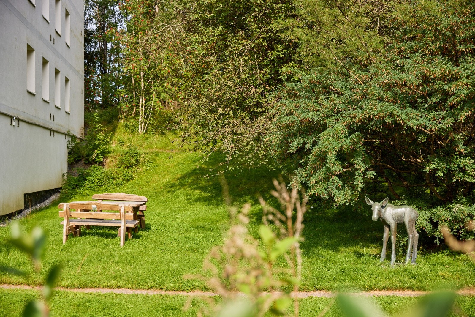 Og nærhet til nydelig natur. Galleribilde