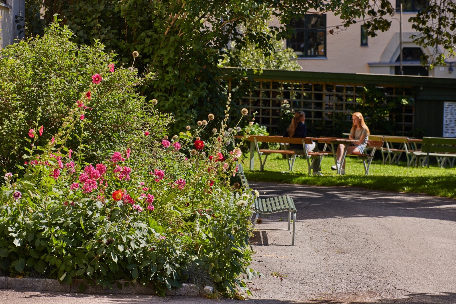 Borettslaget har en stor og flott parkmessig opparbeidet bakgård. Galleribilde