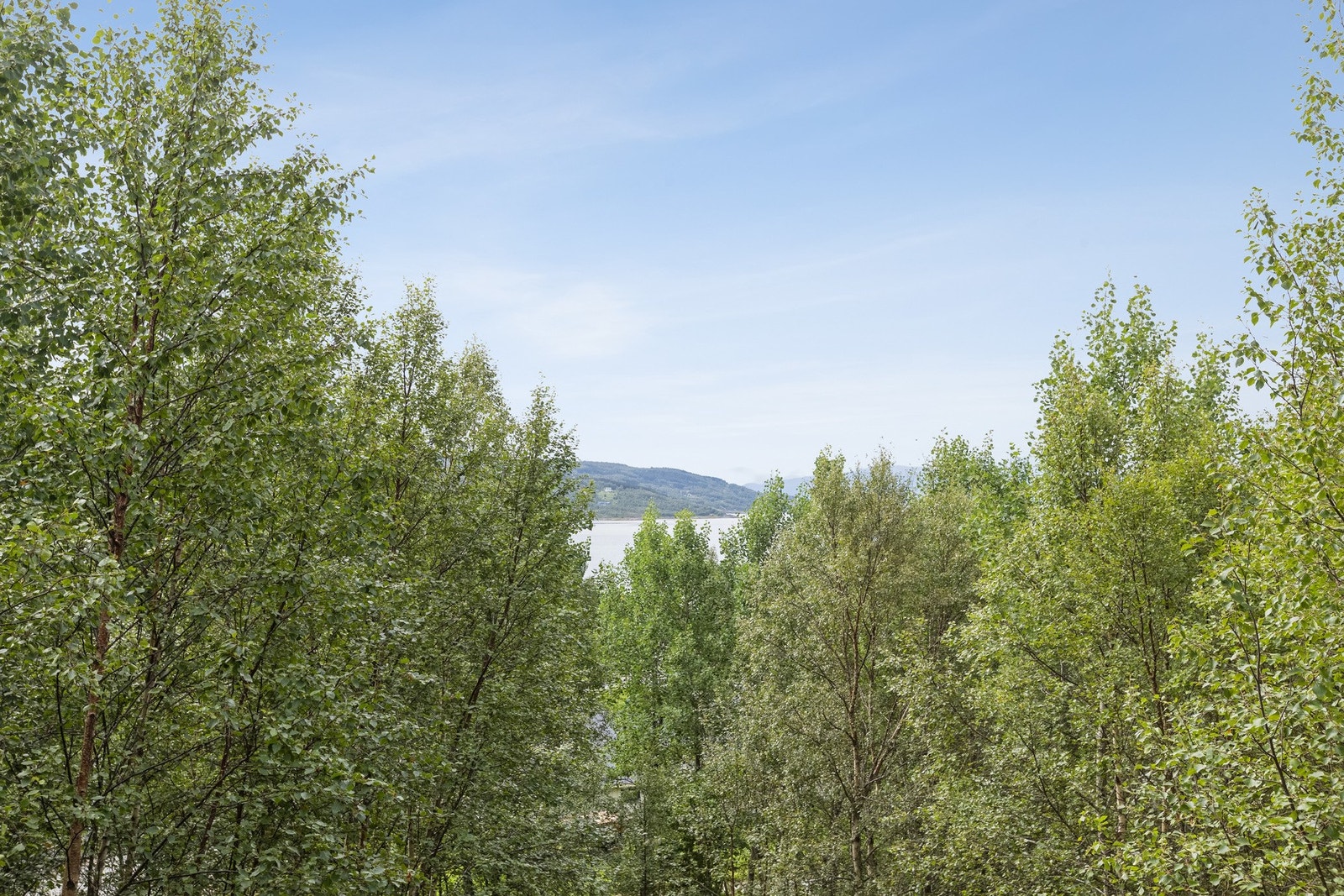 Tomten strekker seg nedover mot Forraveien og du kan dermed åpne mer opp for utsikten om du ønsker. Galleribilde