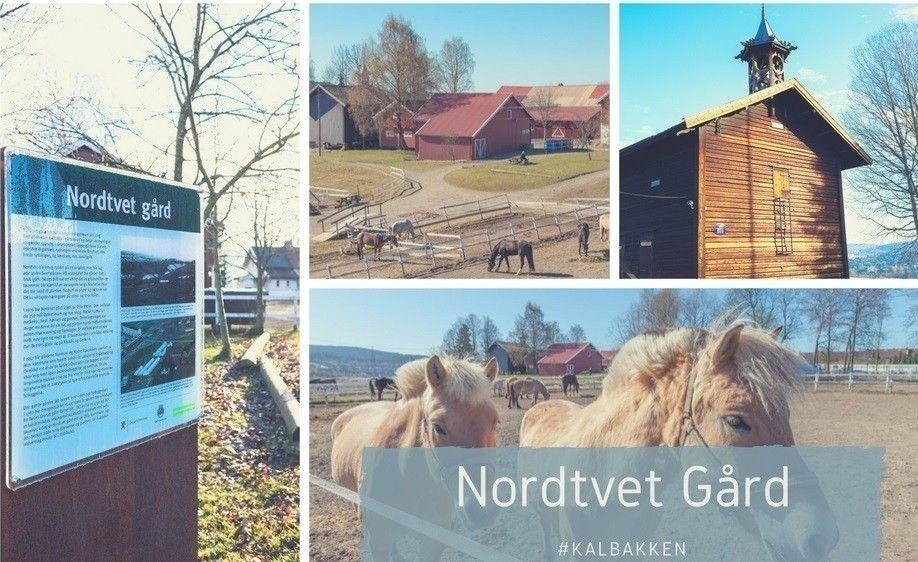 Kort gange fra leiligheten ligger Nordtvet Gård Galleribilde