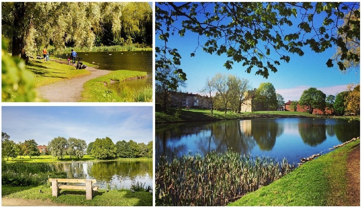 Områdebilde Galleribilde