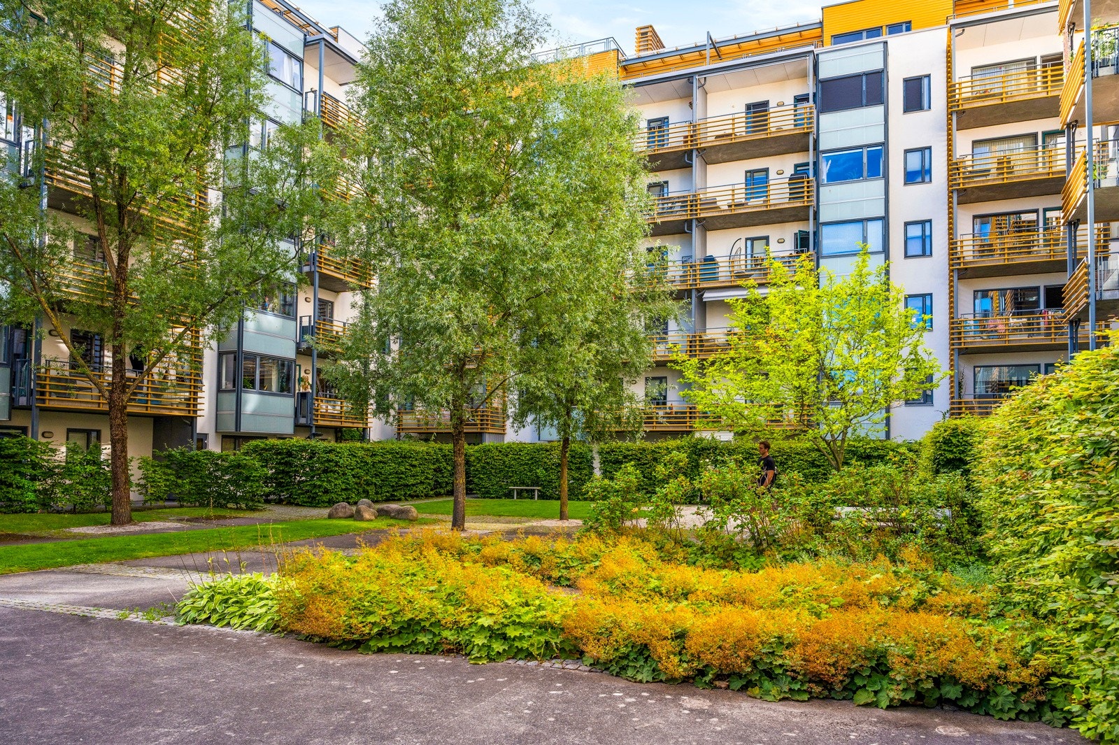 Pent opparbeidede fellesarealer med asfalterte gangveier, variert beplantning og sittebenker. Galleribilde