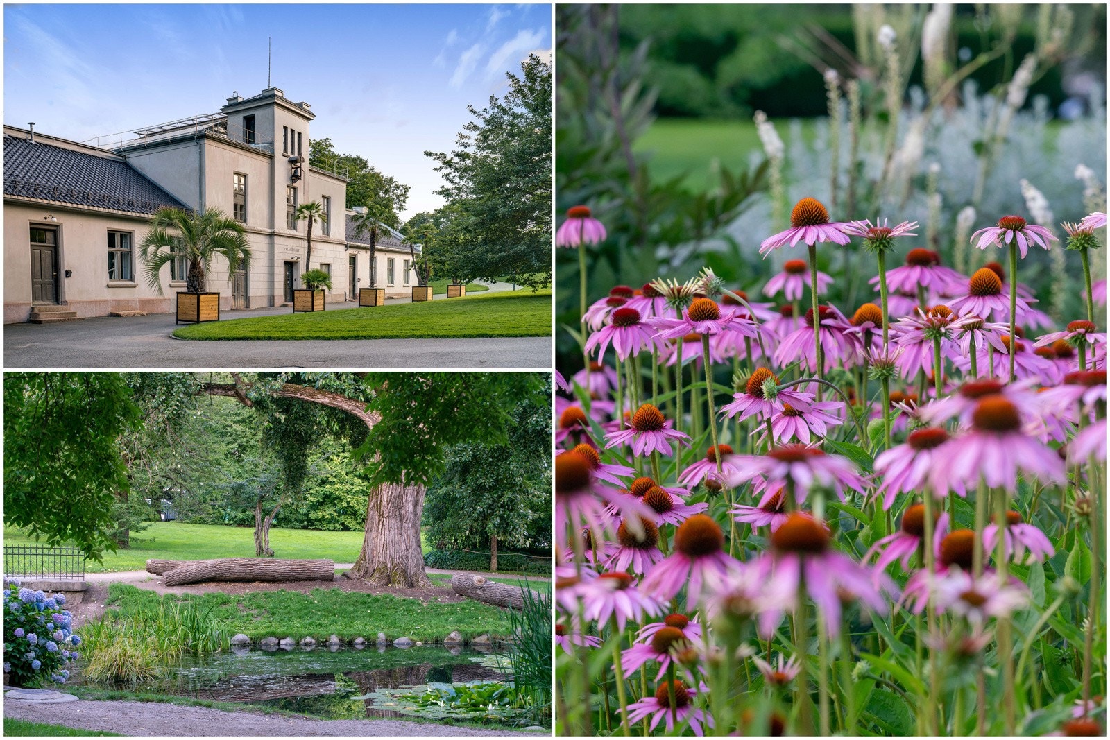 Nærområde - Vakre Botanisk hage, leilighetens nærmeste nabo! Galleribilde