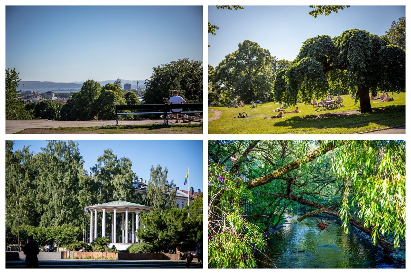 Kort vei til St.Hanshaugen og løkka - Her bor du midt i smørøyet Galleribilde