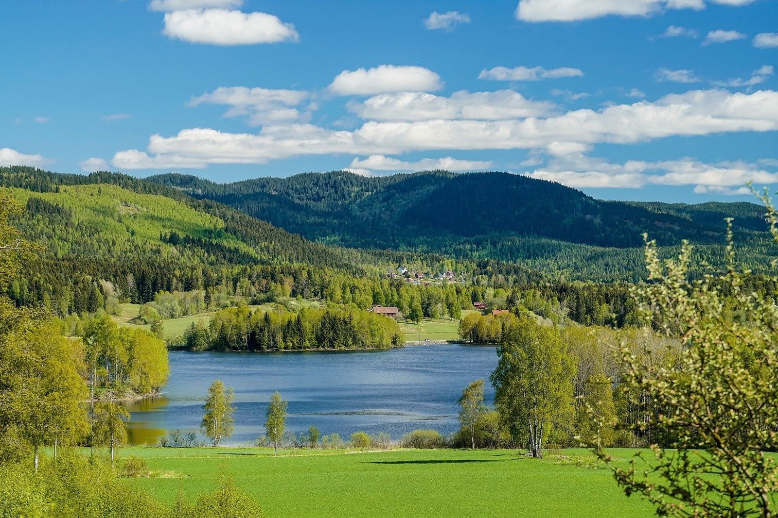 Områdebilde fra marka og Maridalsvannet. Galleribilde