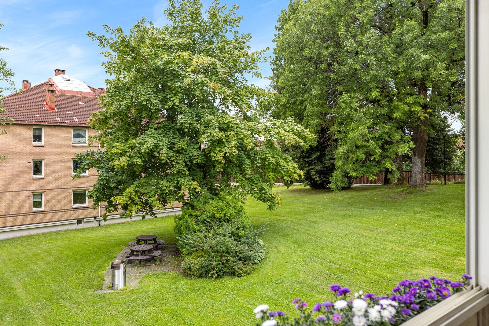 Utsiken fra balkongen - meget frodig Galleribilde