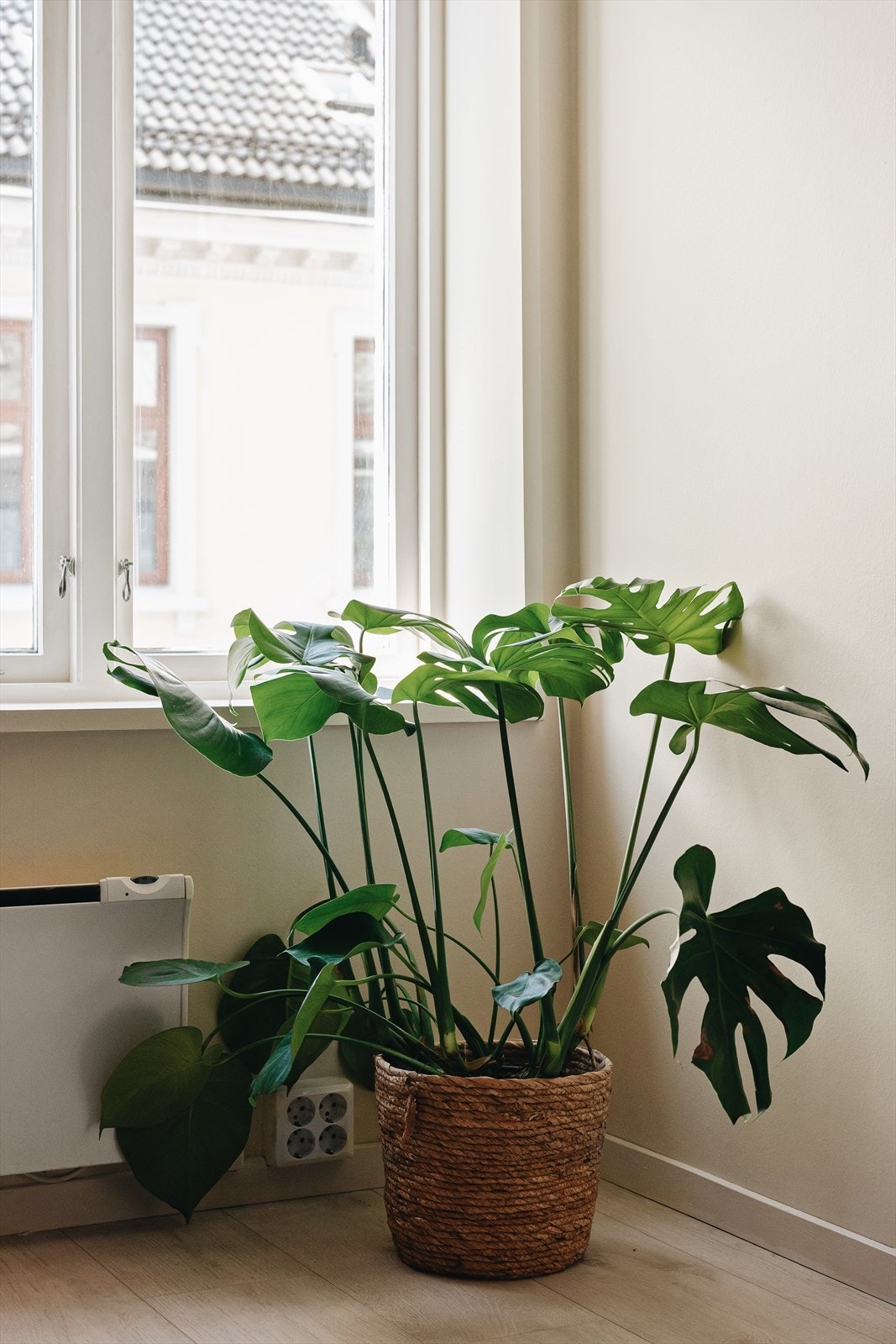 - W Eiendomsmegling Bergen Sentrum - Galleribilde