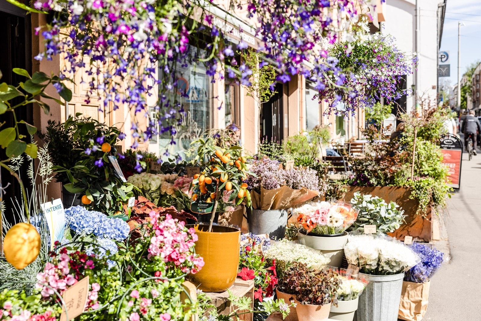 Bislett Blomster en en hyggelig forretning som har levert og planter av alle slag i over 30 år! Også et nydelig innslag i gatebildet i Thereses gate som har et rikt utvalg av forretninger og servicetilbud Galleribilde