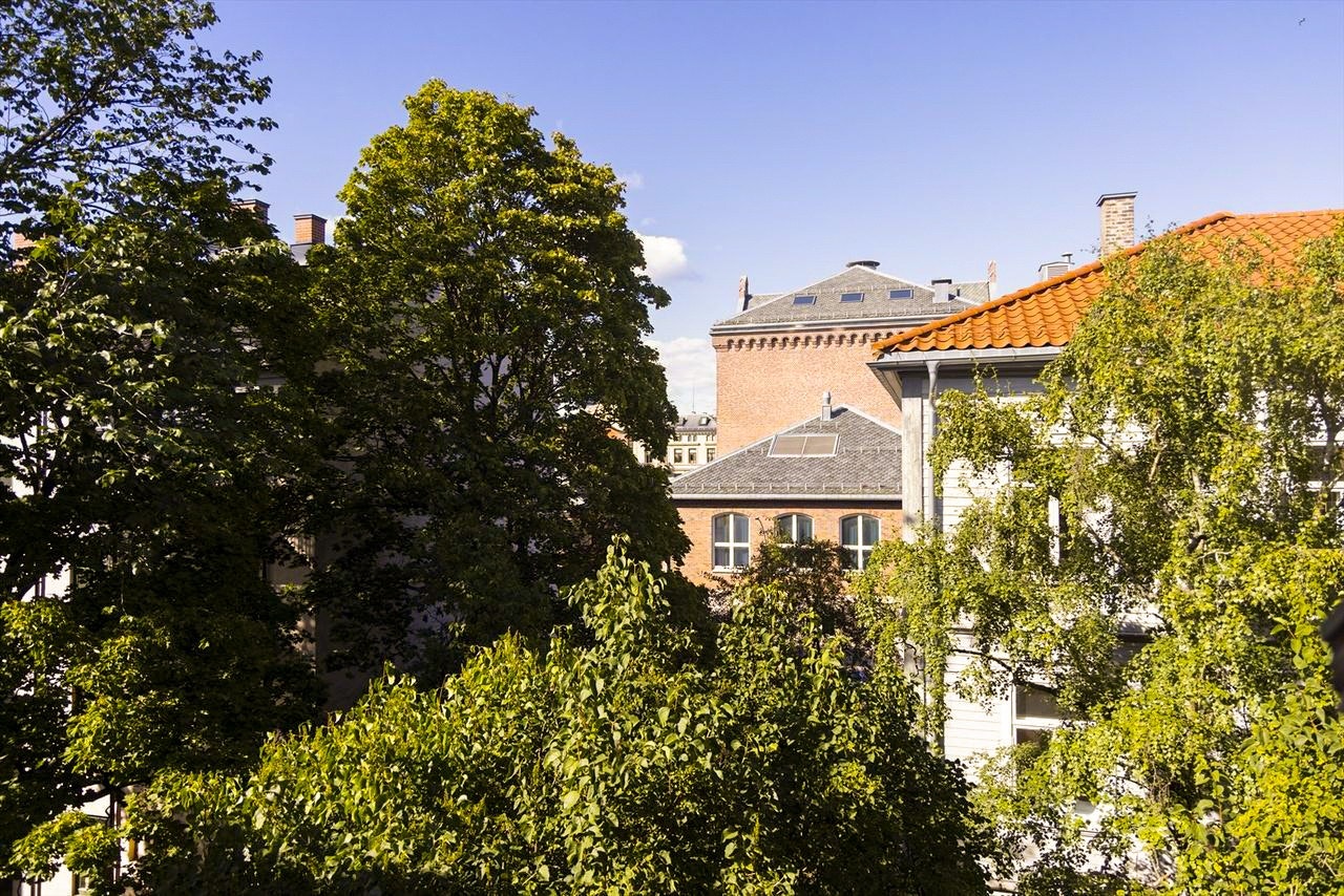 Kjøkkenet har hyggelig og usjenert utsyn til grønne omgivelser. Galleribilde