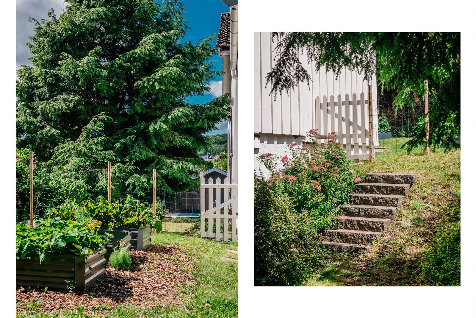 Sjarmerende grønnsakshage Galleribilde