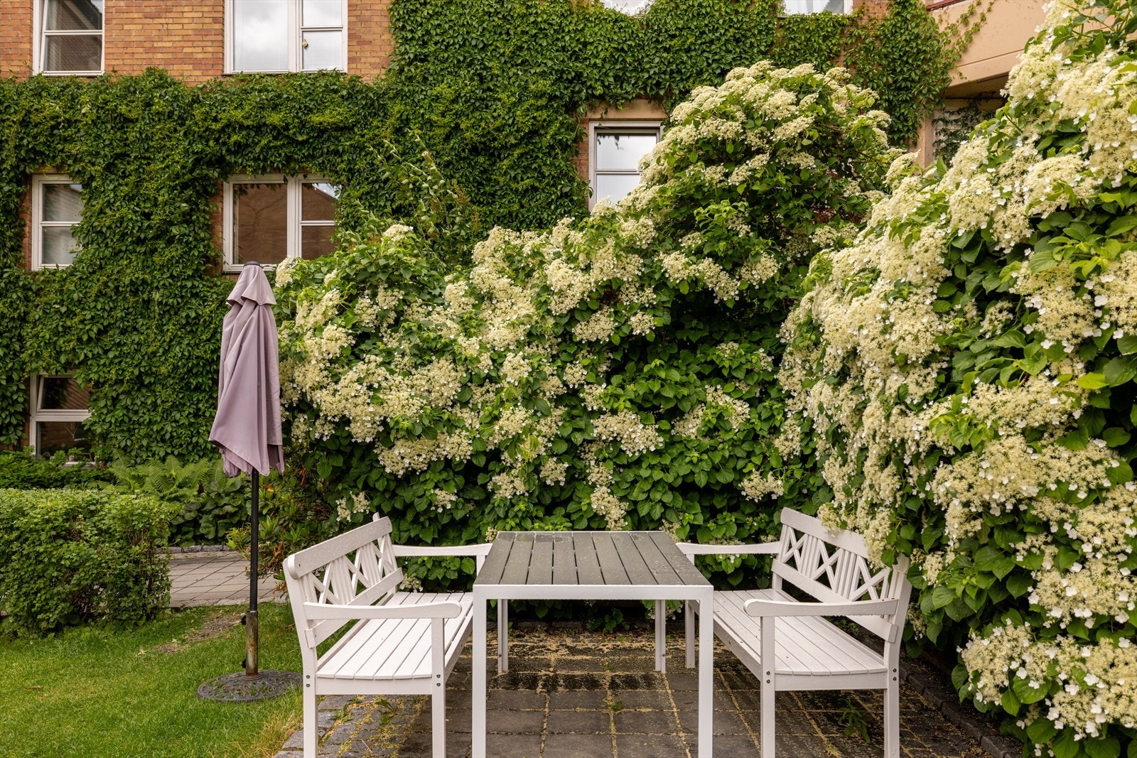 Her er det godt å bo! Gårdsrommet er proppet til bredden med planter som frukttrær, villvin, kaprifol, syriner, hjortesumak, hortensia, rododendron og roser. Likevel er det flere sitteplasser og rom for ulike aktiviteter Galleribilde