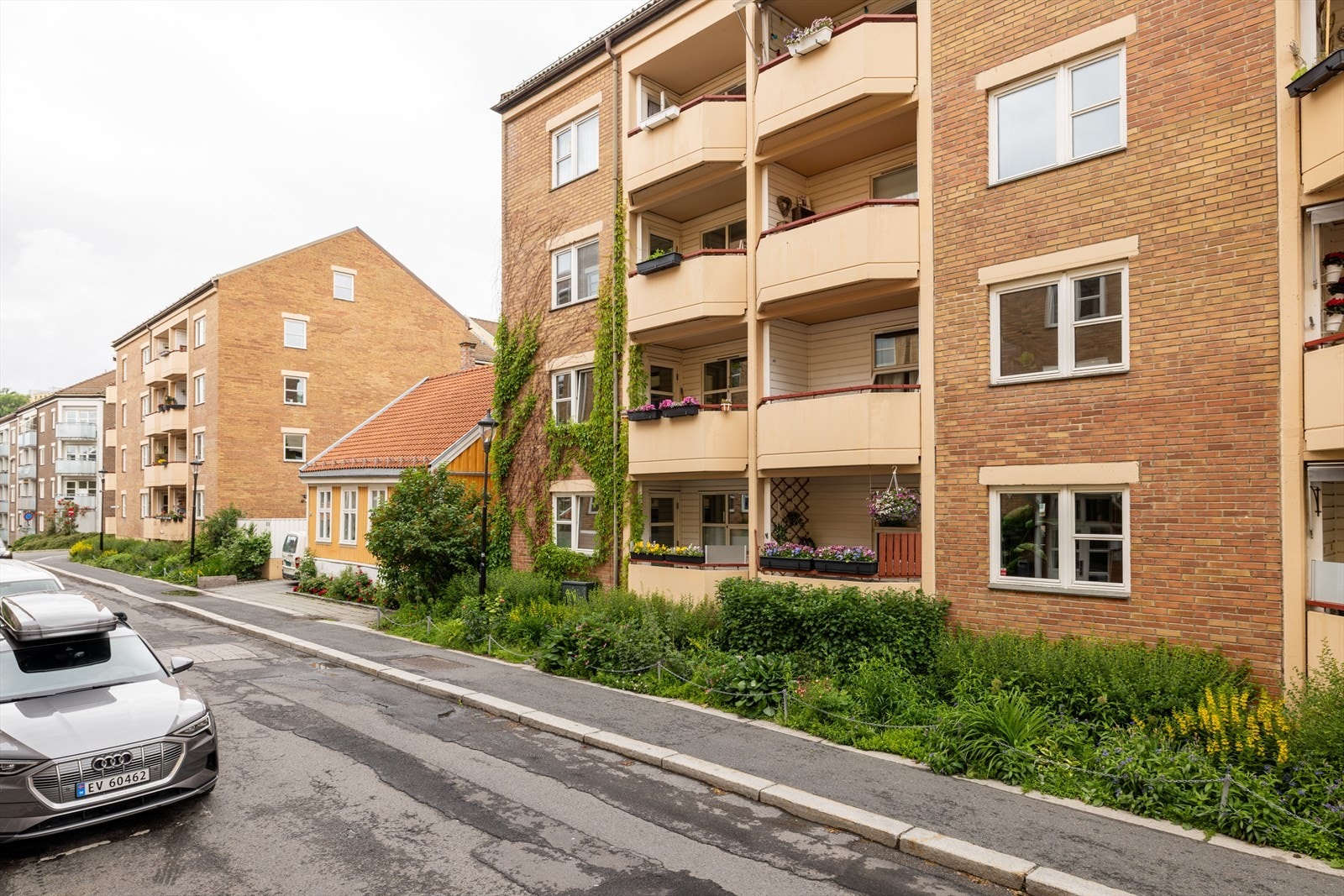 Velkommen til hyggelig visning! Galleribilde