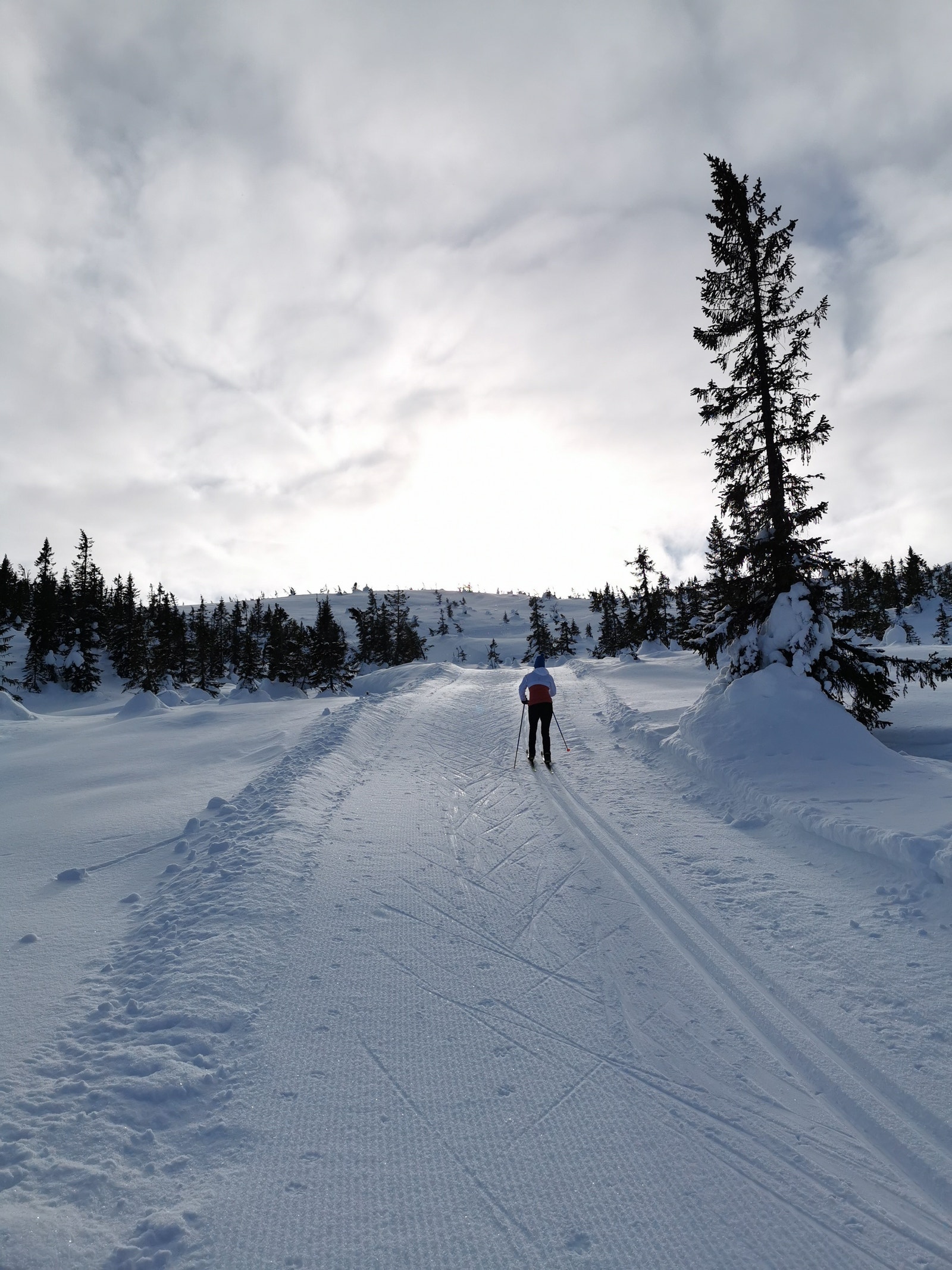 Skiløypene på Vikerfjell Galleribilde
