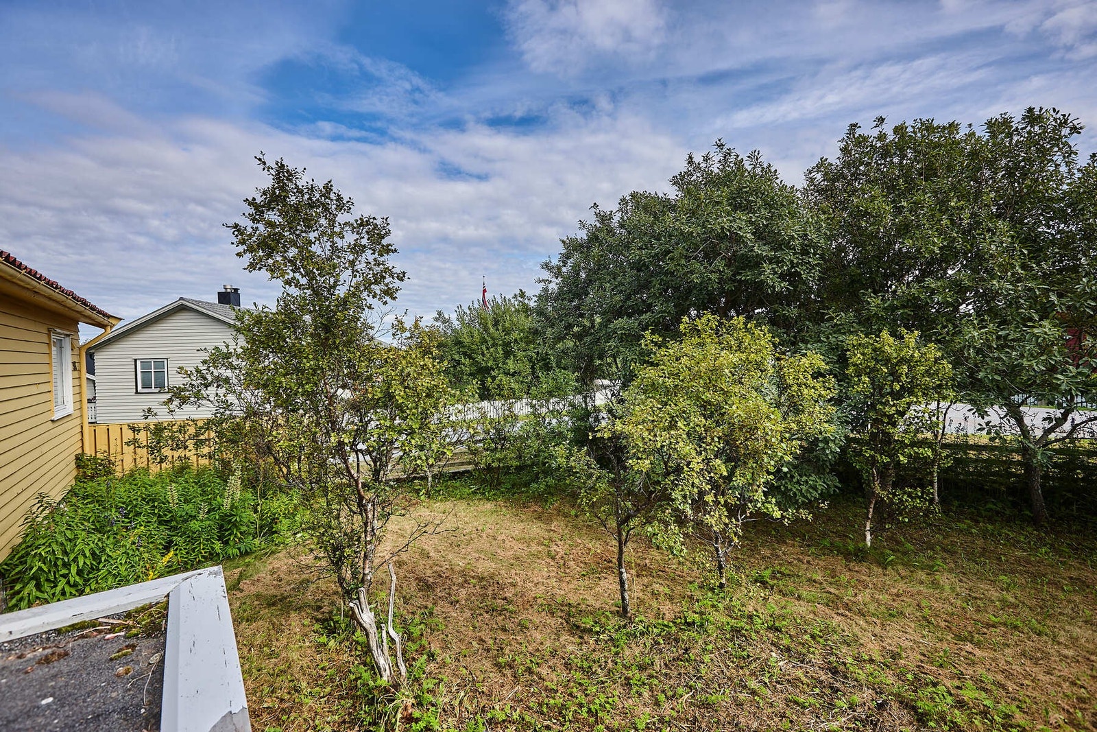Tomten er opparbeidet med plen og beplantning. Galleribilde