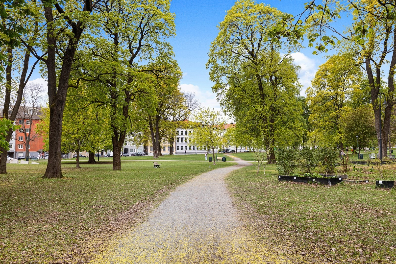 Populære Sofienbergparken rett utenfor døren med muligheter for bl.a. gåturer, soling, grilling og sportsaktiviteter Galleribilde