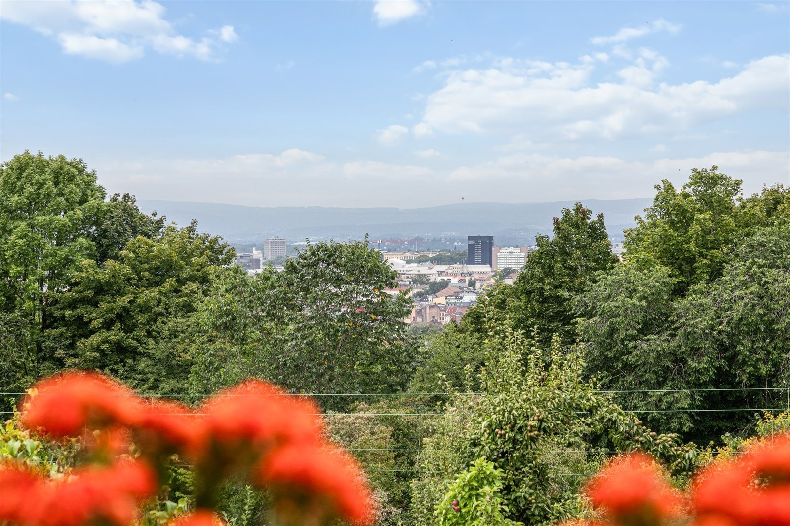 Fantastisk utsikt over Oslo. Galleribilde