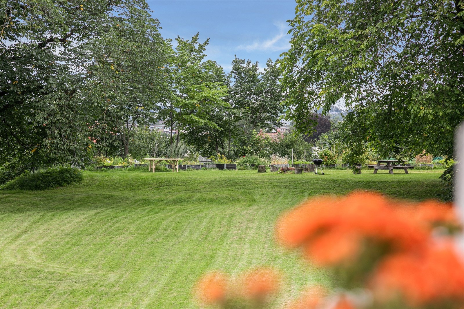 Idylliske Keyserløkka gir opplevelsen av natur midt i byen. Galleribilde