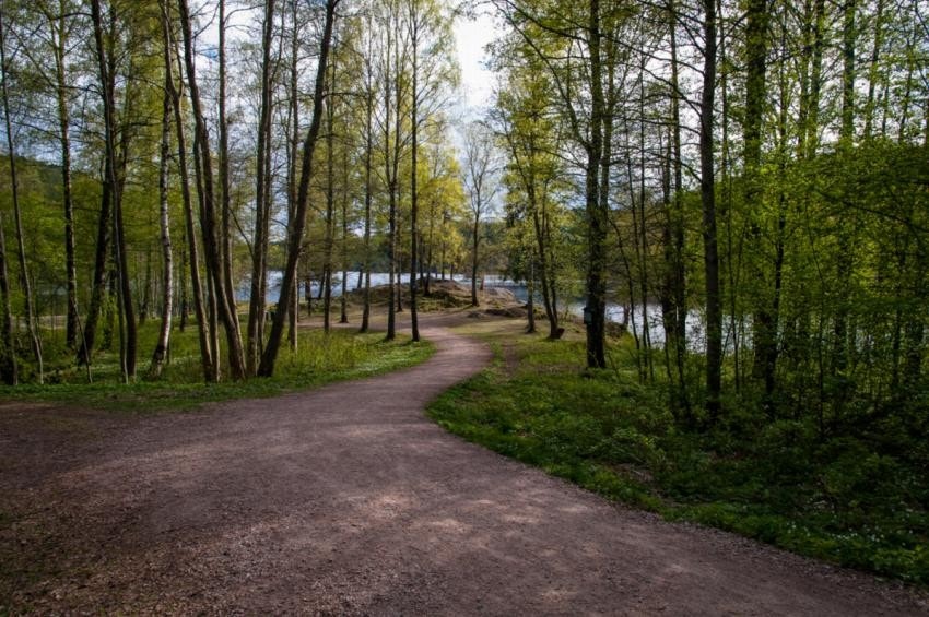Turveien innover mot lutvann, det er det fine med oslo, bo sentralt, men ha marka rett utenfor døren. Galleribilde