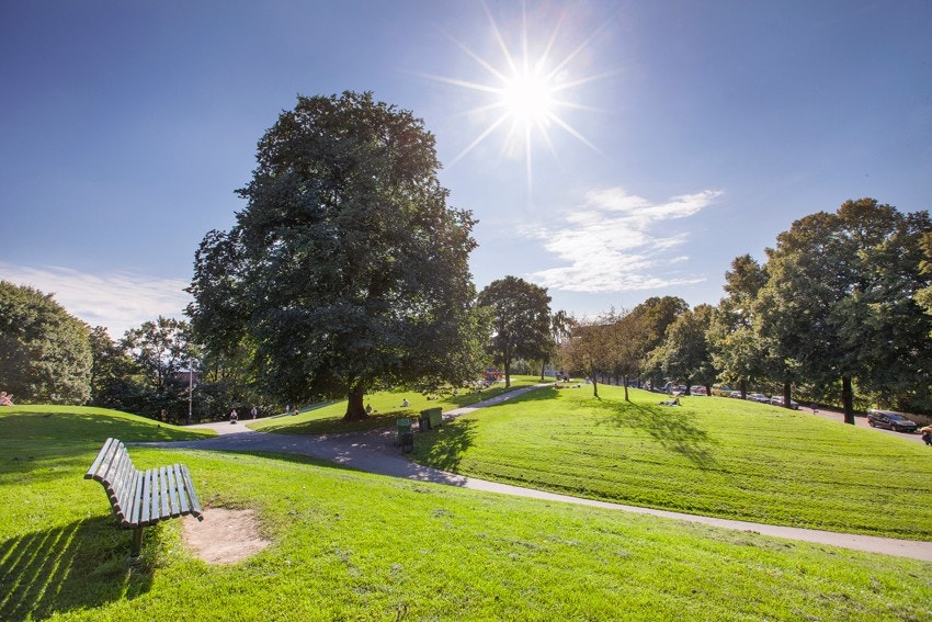 Kort vei til flere populære parker, bla. Stensparken og St.Hanshaugen parken Galleribilde