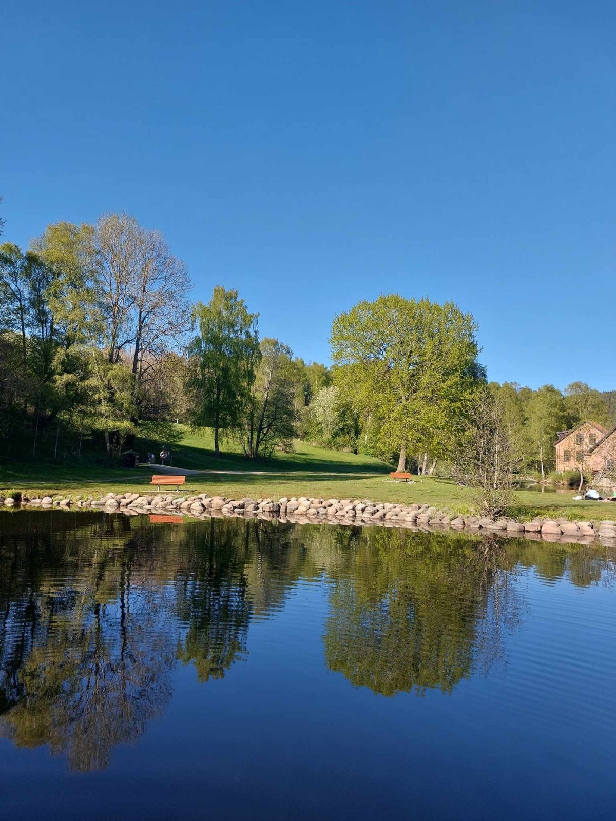 Brekkedammen ved Frysja er en populær badeplass ved øvre del av Akerselva, med Oslos reneste badevann. Galleribilde