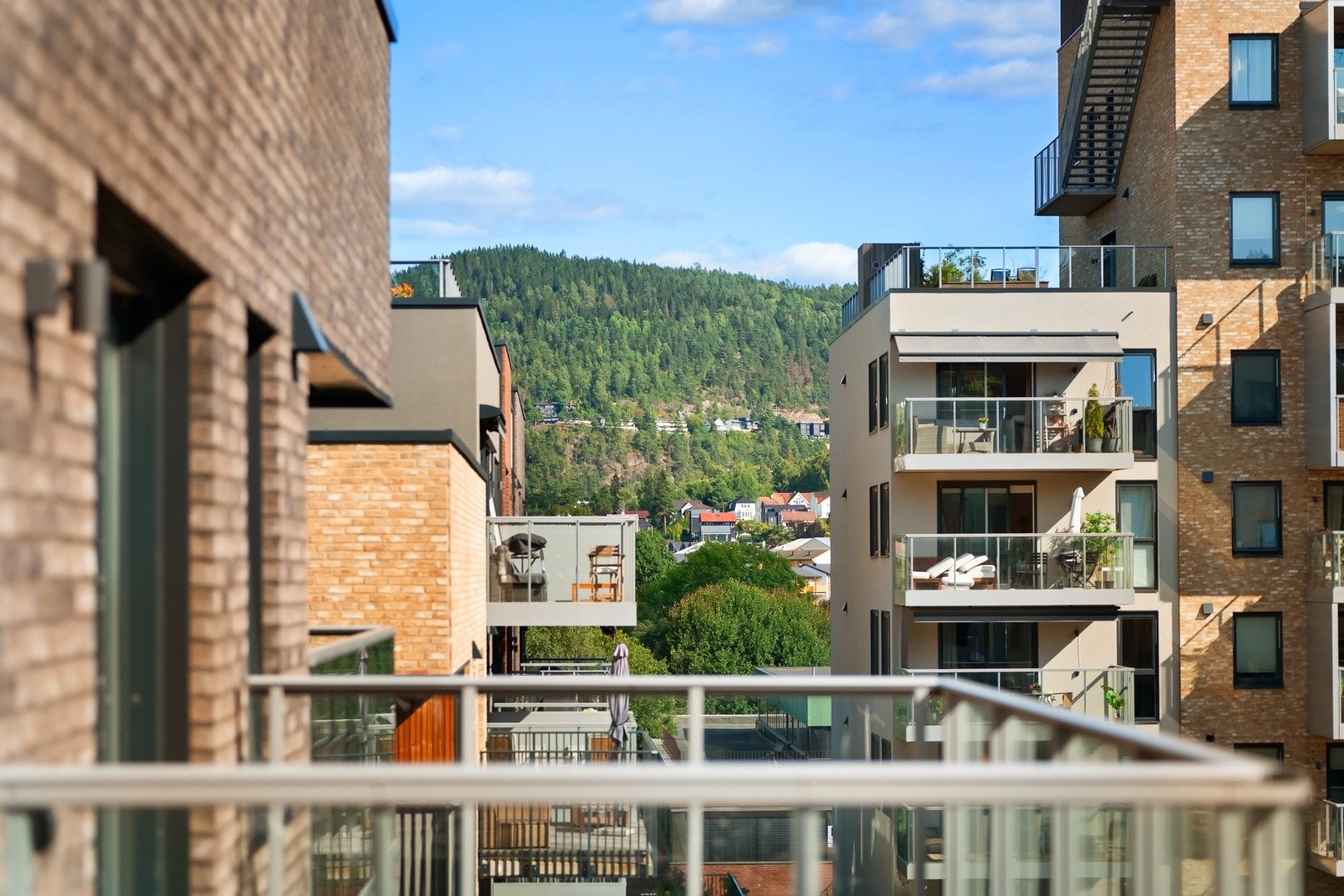 Flott utsikt. Galleribilde
