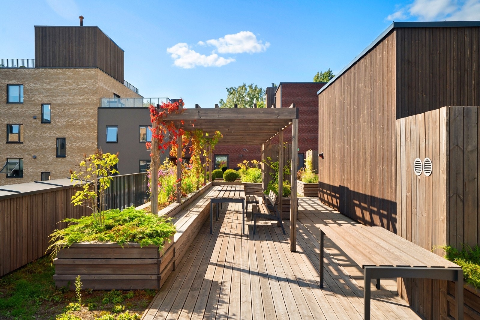 Fantastisk, felles takterrasse med nydelige lys- og solforhold. Galleribilde