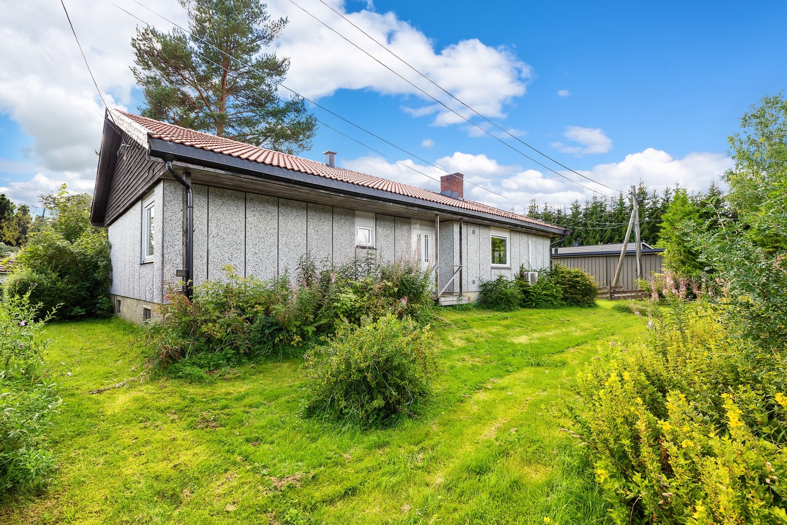 Flat og fin hage med plass til trampoline og beplantning. Galleribilde