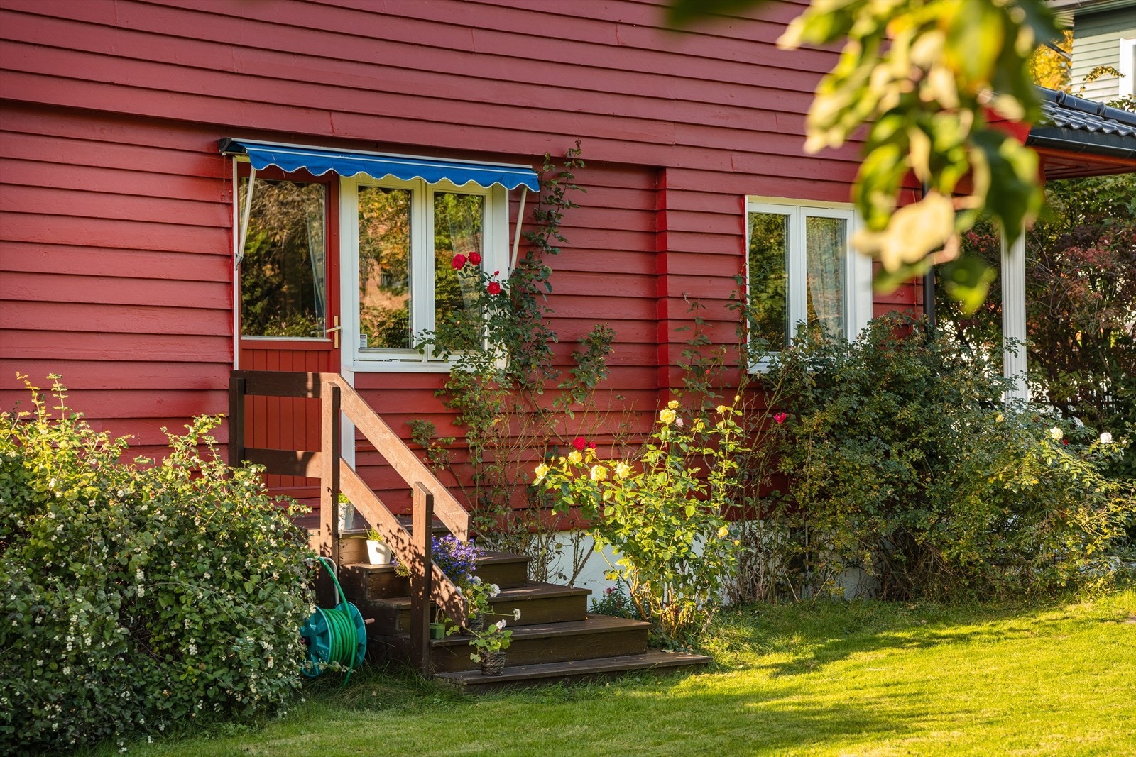 Pent opparbeidet hage Galleribilde