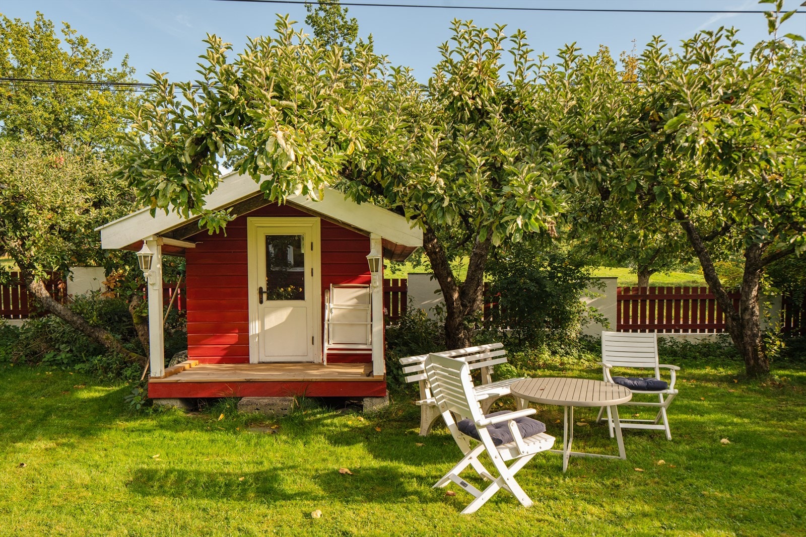 Busker og trær skjemrmer hagen på en fin måte Galleribilde