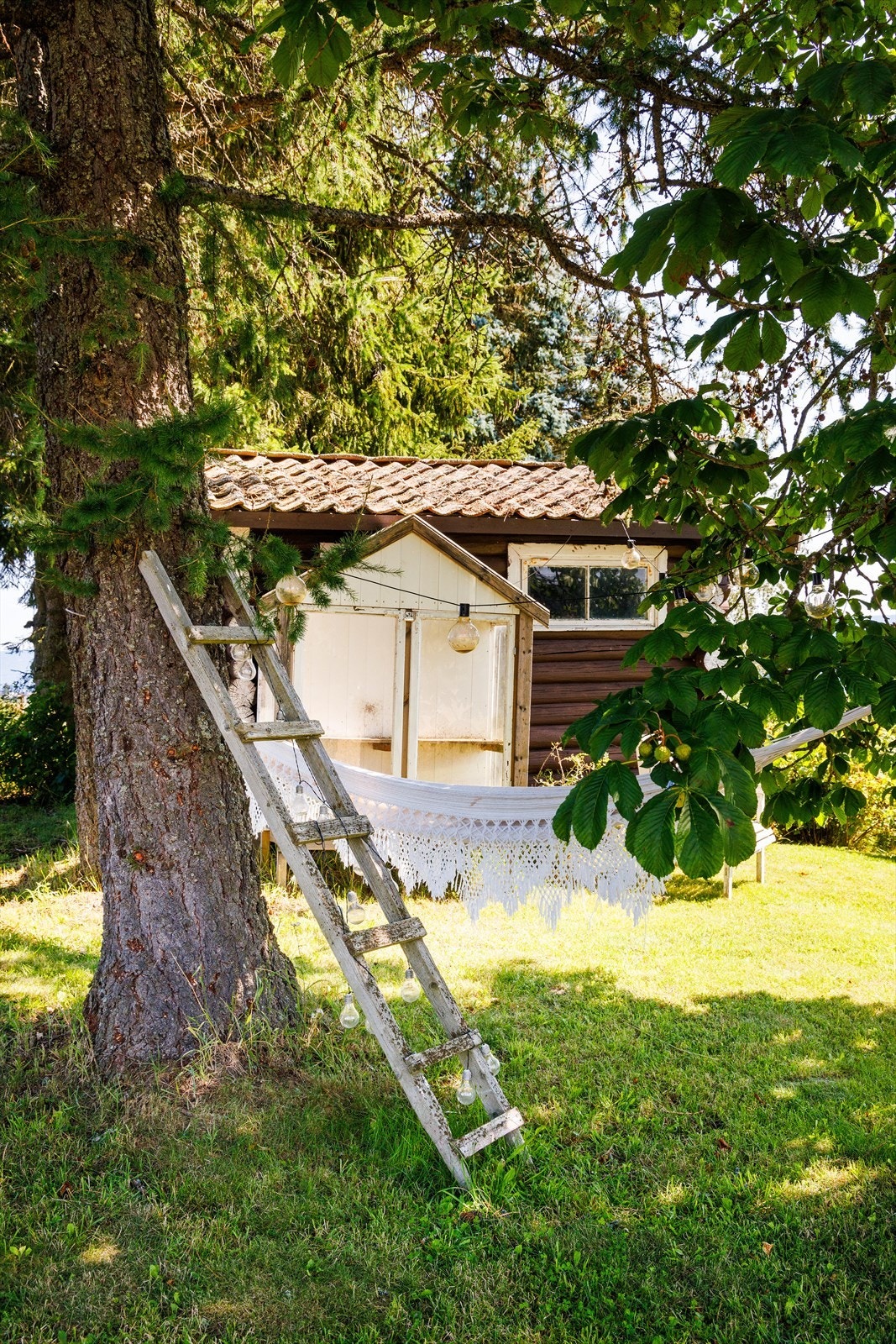 På tomten kan man gjemme seg bort litt mellom trærne og finne frem en god bok. Galleribilde