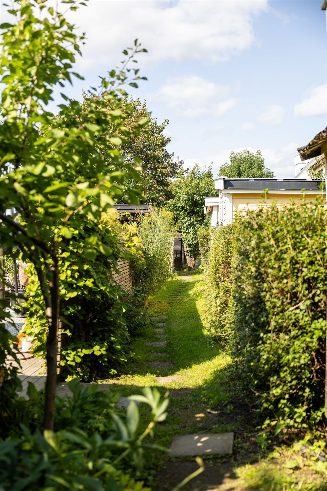 Adkomst til hagen/plattingen Galleribilde