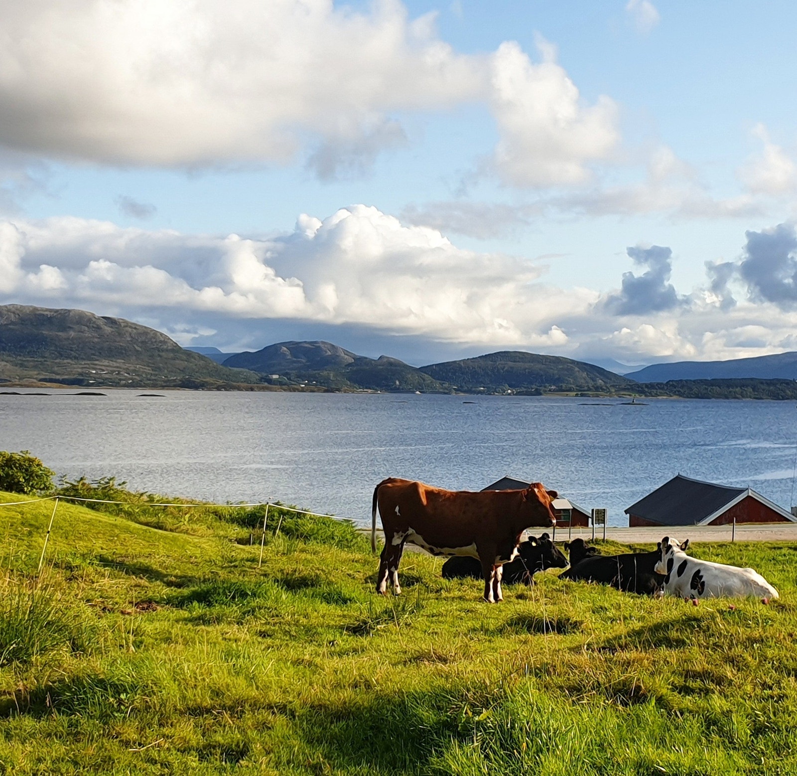 Idylliske omgivelser Galleribilde