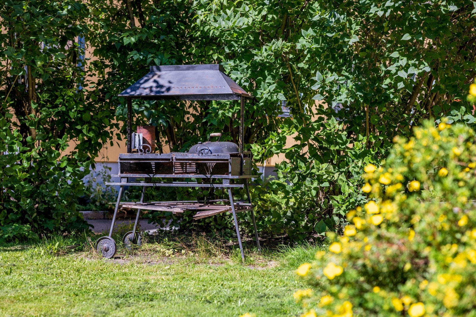 Bydelen kan by på fantastiske grøntområder som Bjølsenparken, Geitmyra skolehager og -gård, Myraløkka og Voldsløkka. Galleribilde