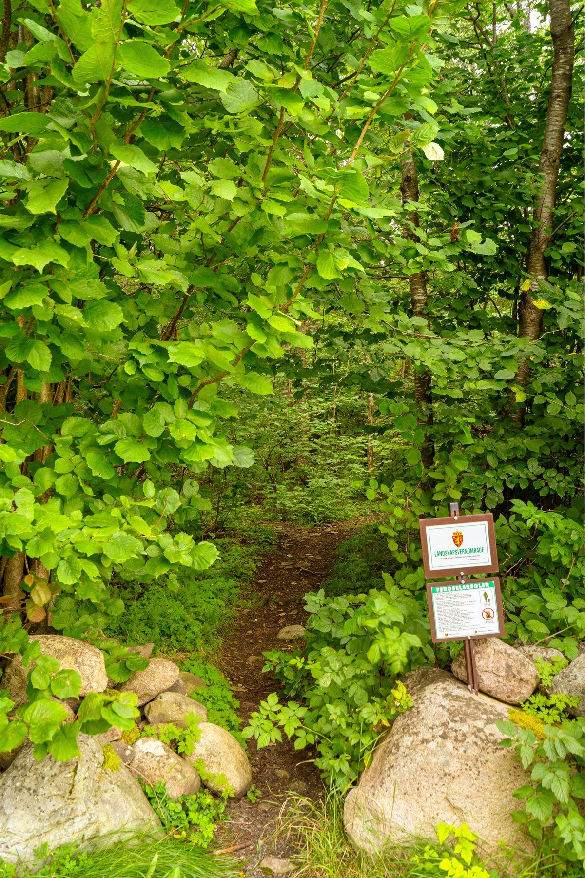 Turområdene ligger rett utenfor døren Galleribilde