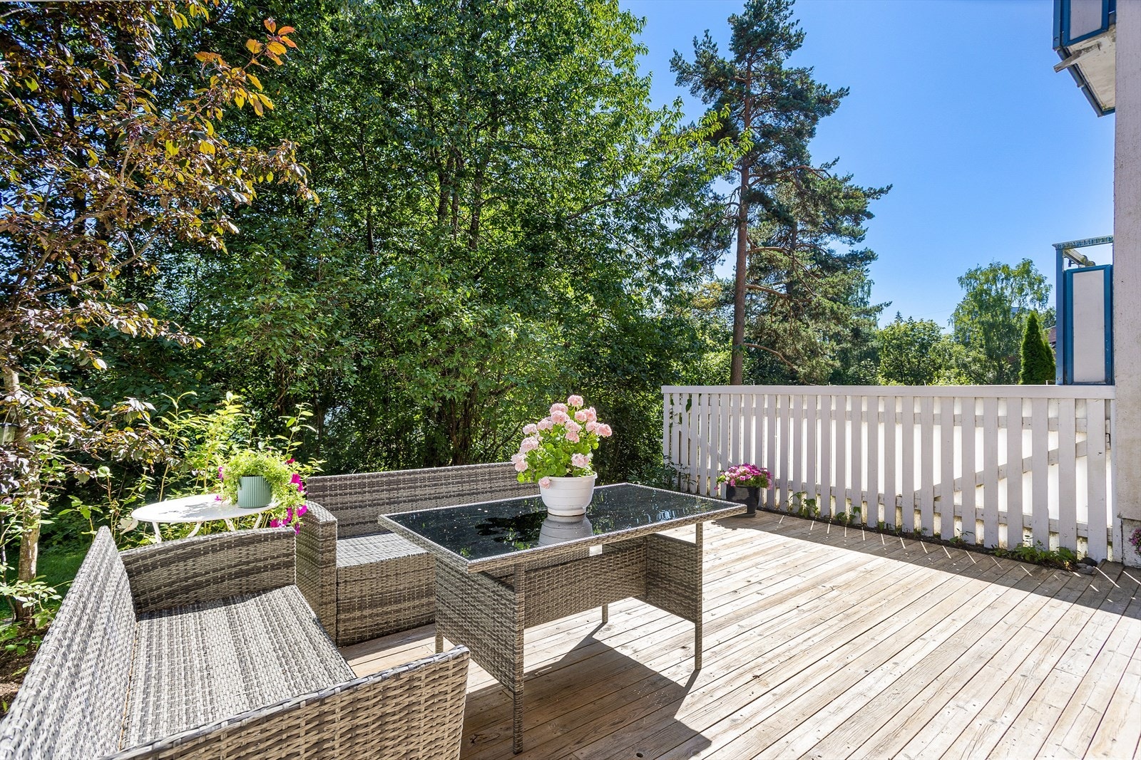 Marka som nærmeste nabo Galleribilde