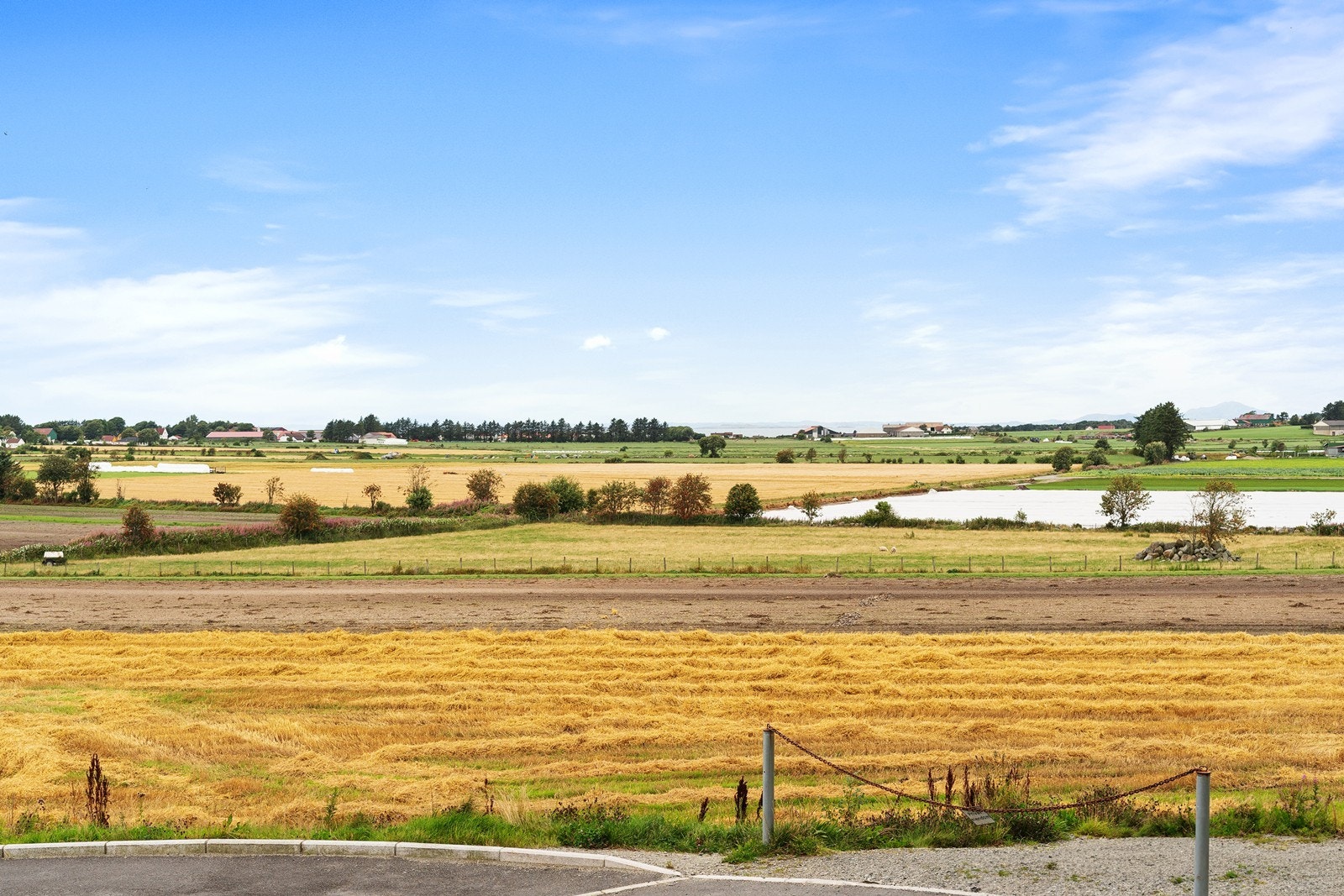 Flott utsikt Galleribilde