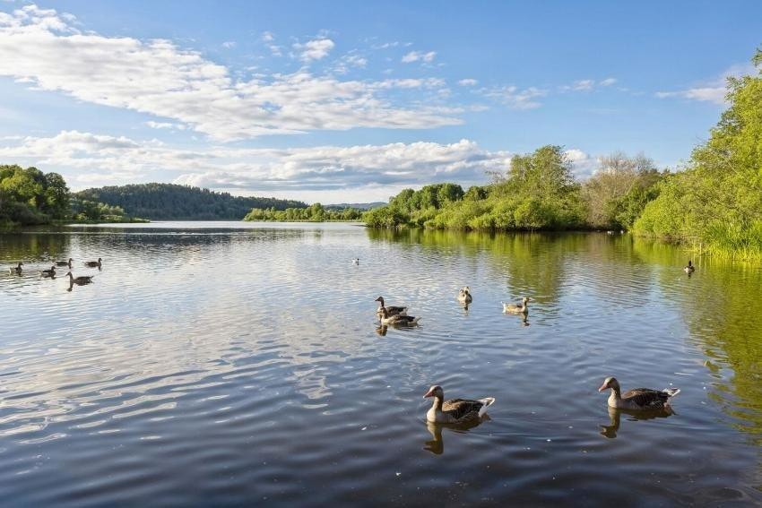 Flotte tur- og rekreasjonsmuligheter rundt Østensjøvannet. Galleribilde