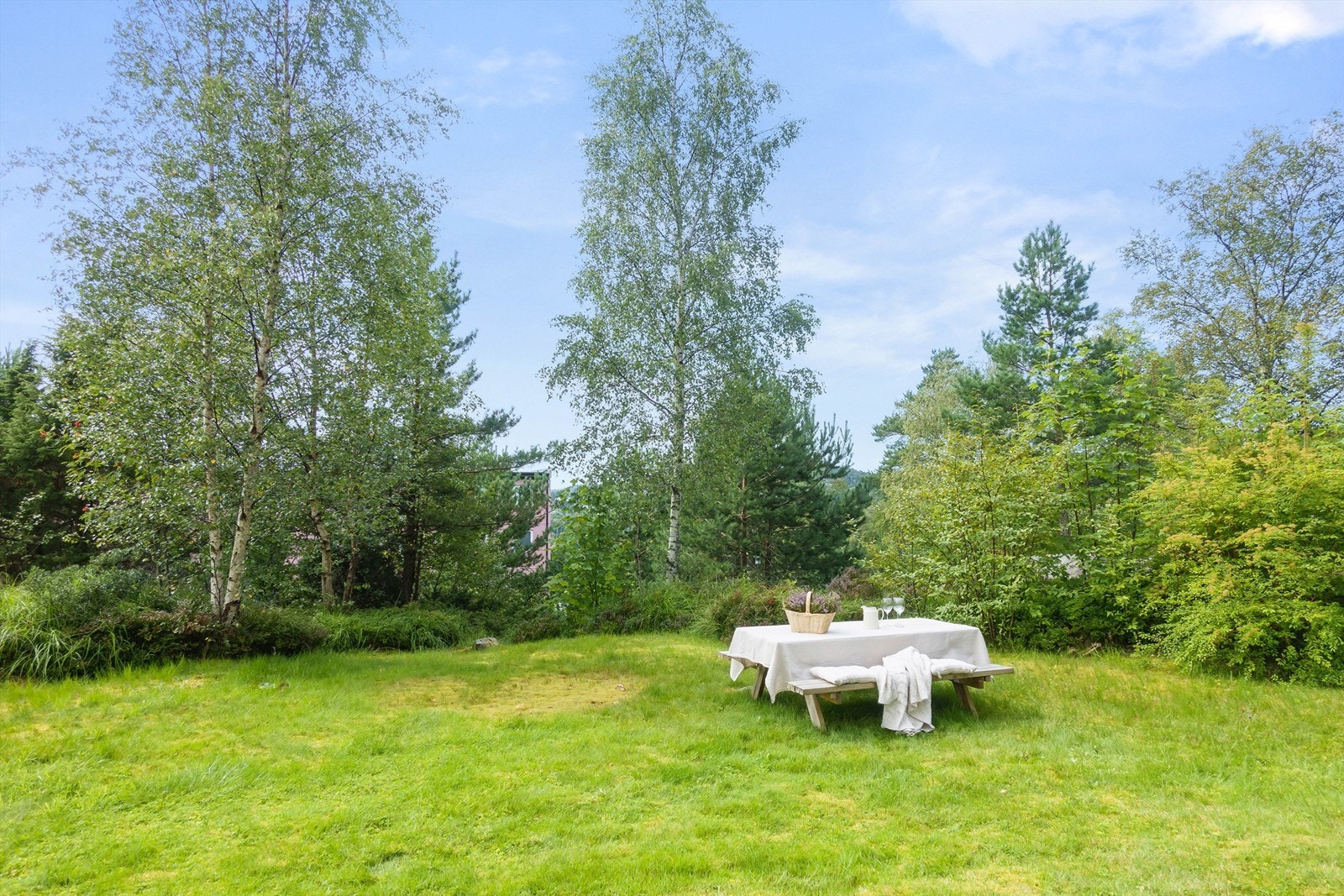 Koselig med stor plen og benk utenfor bygningen. Galleribilde