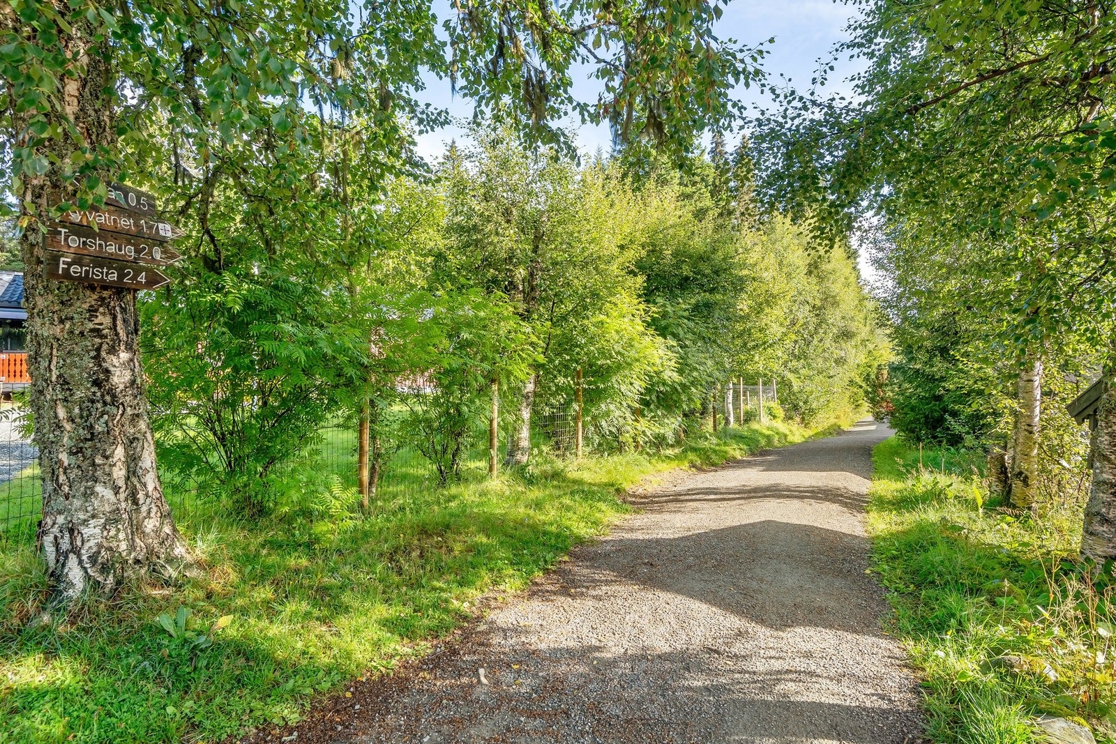 Flotte turområder i umiddelbar nærhet. Bare et par hundre meter til badeplass. Galleribilde