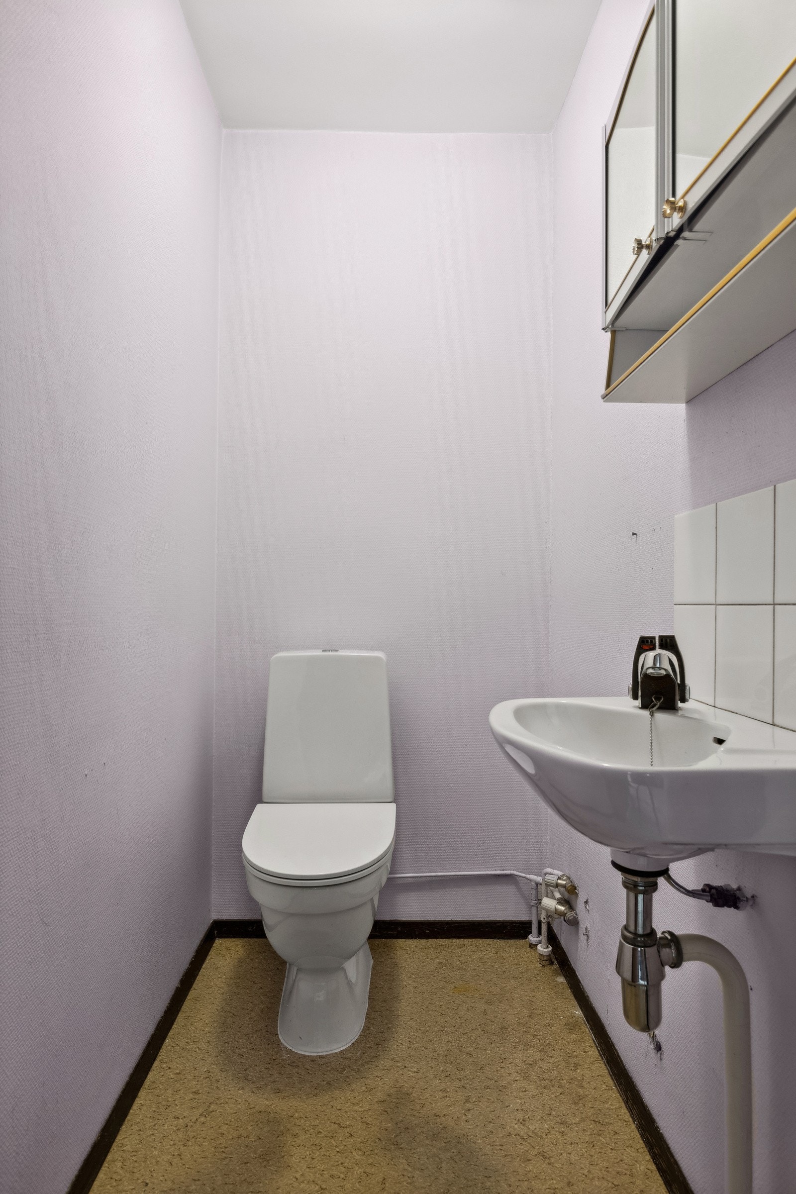 Separat wc med behov for oppussing Galleribilde