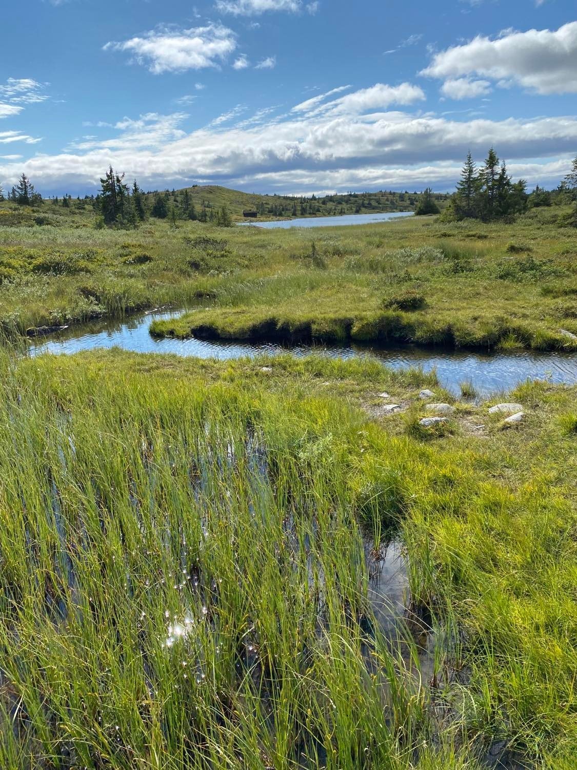 Nærområdet til leiligheten byr på flotte turmuligheter og fin natur. Galleribilde