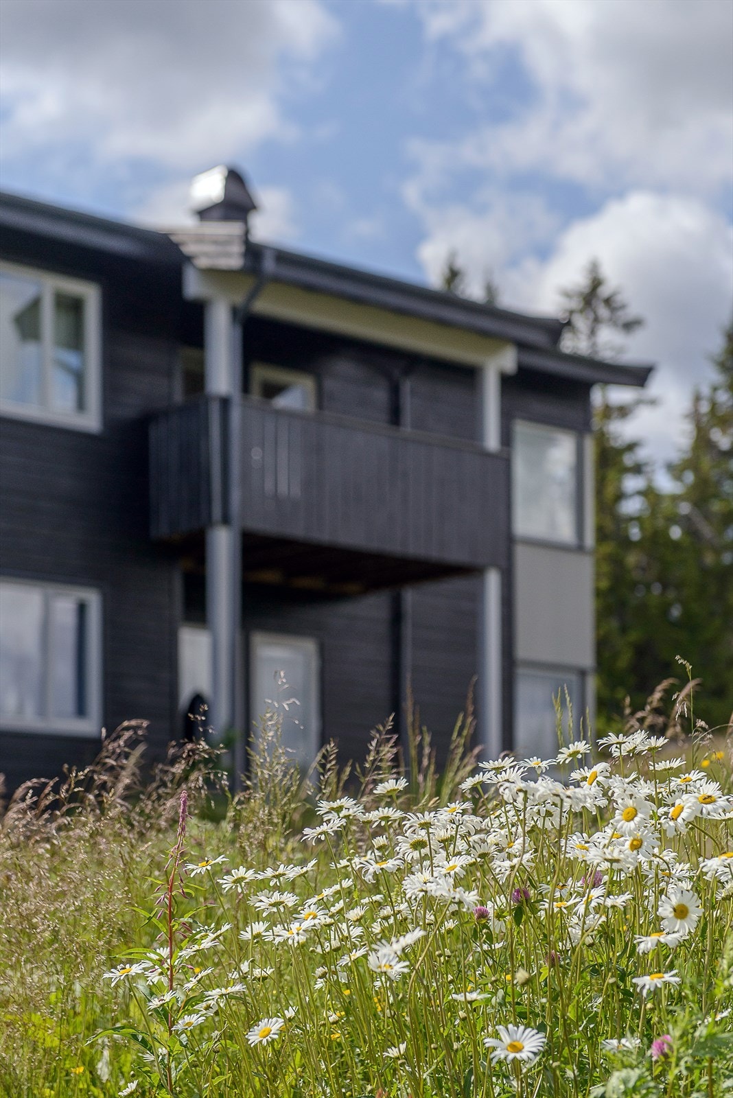 Flotte omgivelser, sommer som vinter. Et hyggelig grøntområde grenser inntil leiligheten som ligger godt skjermet for trafikkstøy. Galleribilde