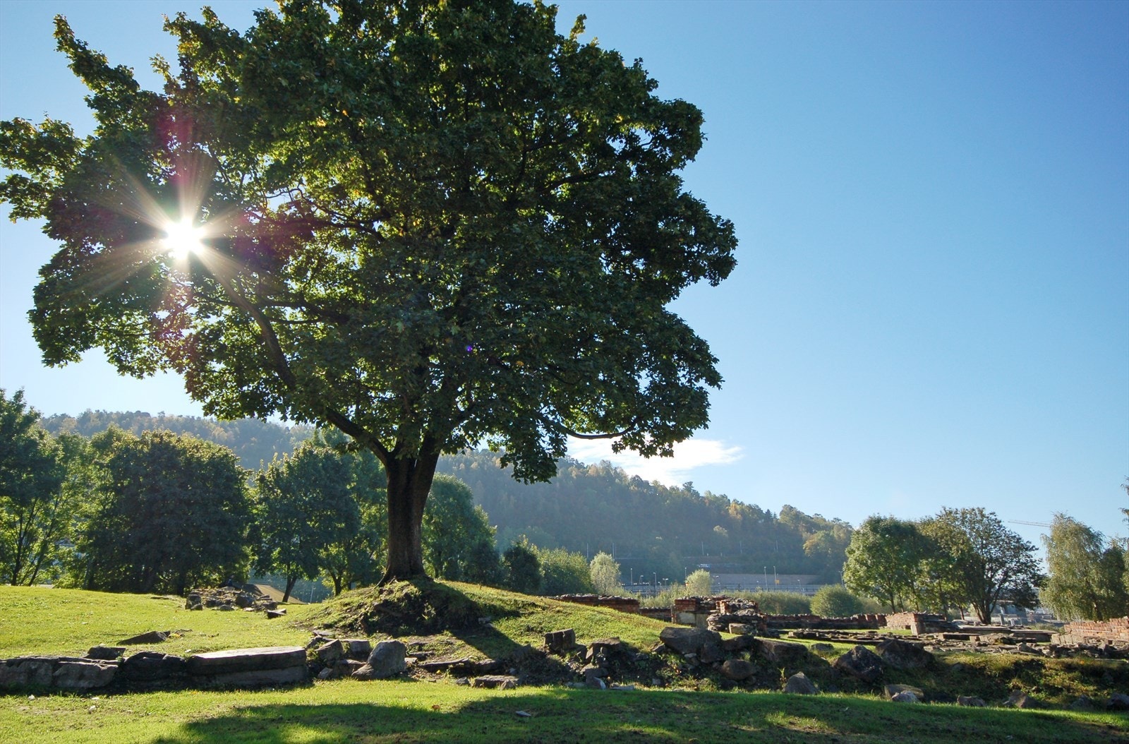 Også historiske Gamlebyen ligger kun et steinkast fra leiligheten, blant annet kjent for den flotte Middelalderparken. Galleribilde
